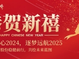 堅守初心2024，逐夢遠航2025--中崎股份穩健前行，共繪未來藍圖